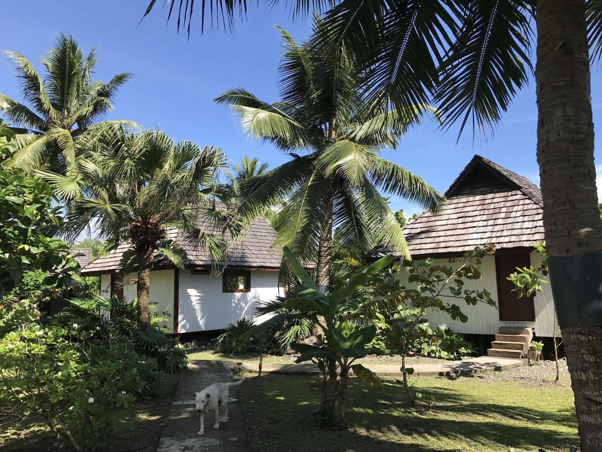 Punatea Village Afaahiti Zewnętrze zdjęcie