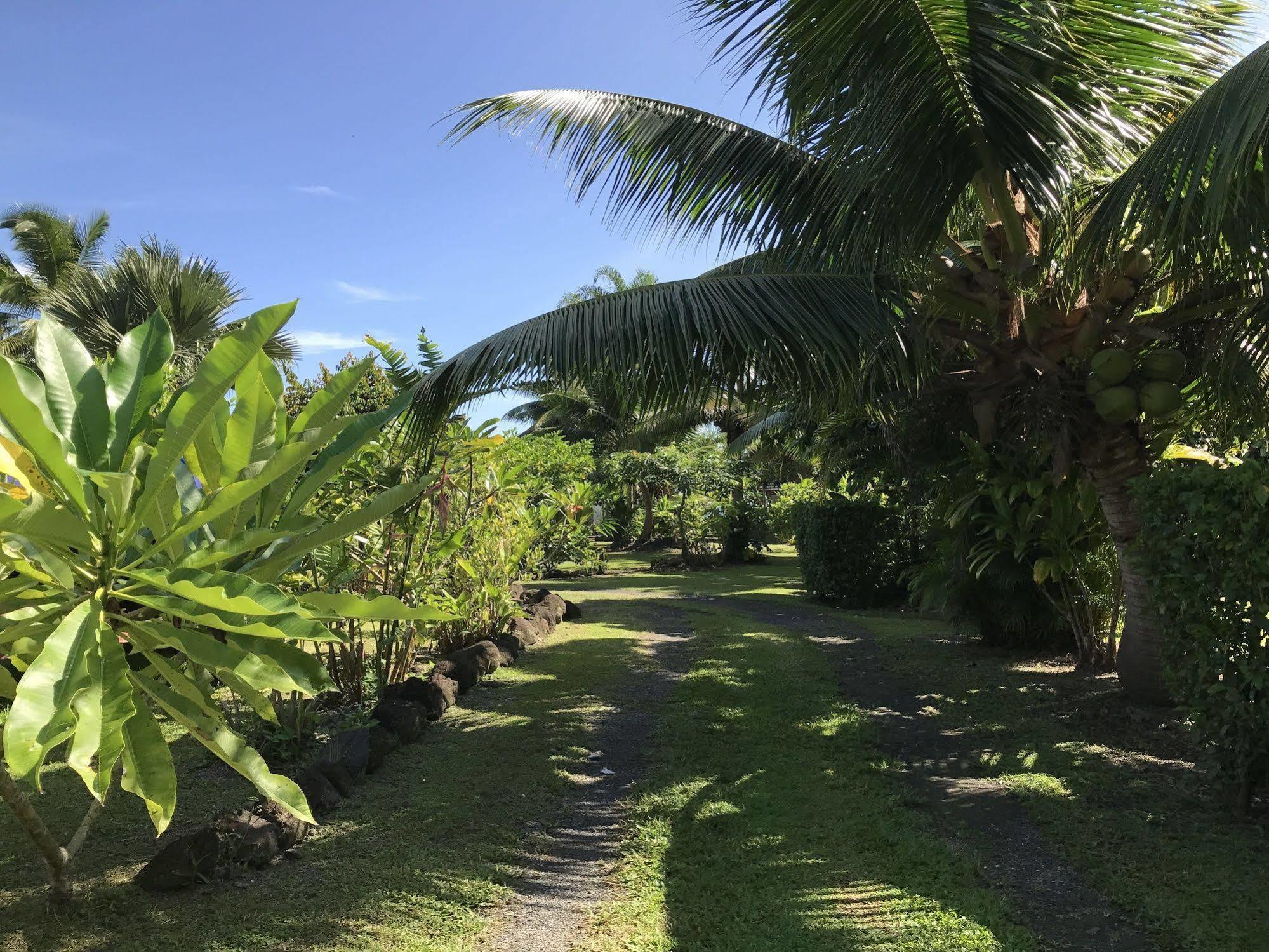 Punatea Village Afaahiti Zewnętrze zdjęcie