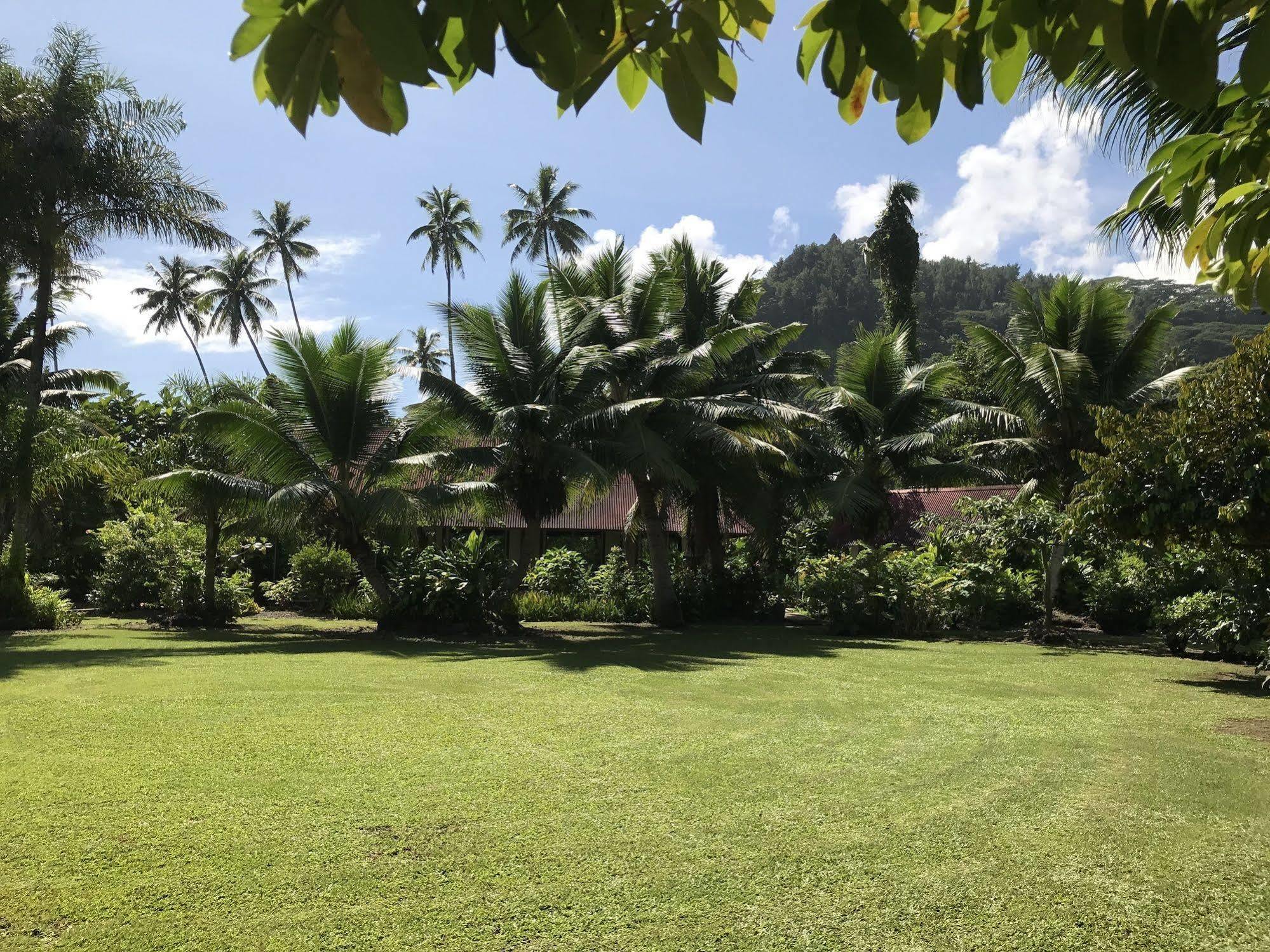 Punatea Village Afaahiti Zewnętrze zdjęcie